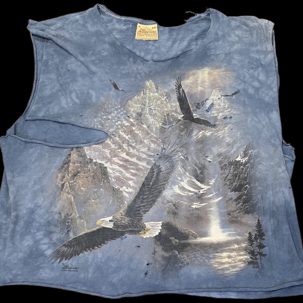 Vintage The Mountain XXL, Distressed Graphic T w/ Bald Eagle & Waterfall: Grunge